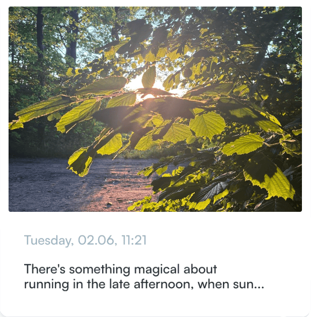 Notes view